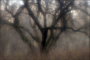 &nbsp; / [img]https://c.radikal.ru/c32/1912/bb/7c7cea4c957c.jpg[/img]
[img]https://c.radikal.ru/c26/1912/4a/7e2b98325280.jpg[/img]
[img]https://b.radikal.ru/b43/1912/41/8072cda1ae33.jpg[/img]
[img]https://c.radikal.ru/c07/1912/e1/eb4d88ae5f4f.jpg[/img]
[img]https://b.radikal.ru/b33/1912/3a/eb6780139077.jpg[/img]
