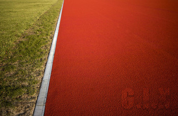 stadium / ***