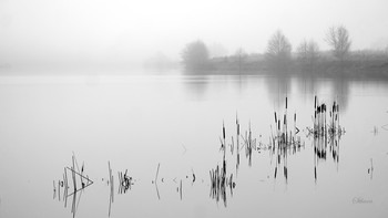 Overcast morning. / ***