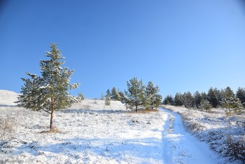 winter walk / ...