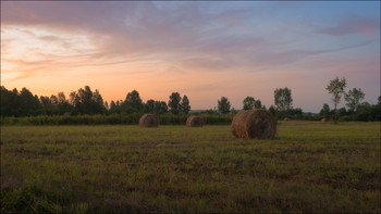 Evening in the field / ***