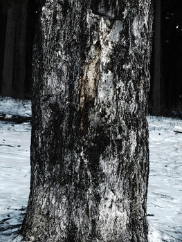 Life / 2016-03-15-663-C000-016(80)