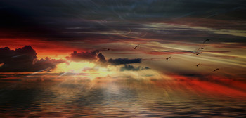 On the sunset / ***