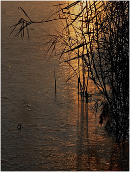 At sunset .... / *-*-*