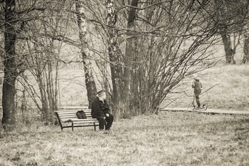 in the park / ***