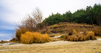 Winter landscape / ***