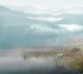 Morning fog / ***