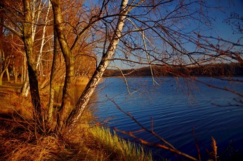 December morning / ***