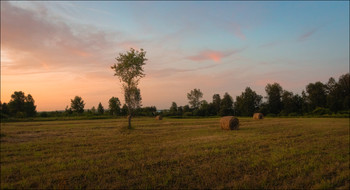 Evening in the field / ***