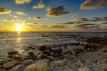 Black Sea / ***