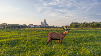 Suzdal. / ***