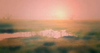 In the meadow ... / ***