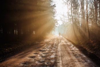 Toward the Light / ***
