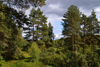 Before the storm / ***