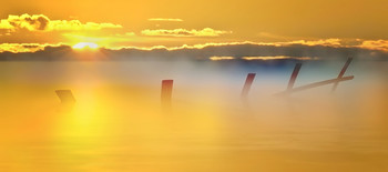At dawn / ***
