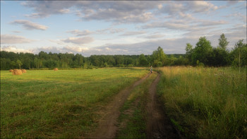 Evening in the field / ***