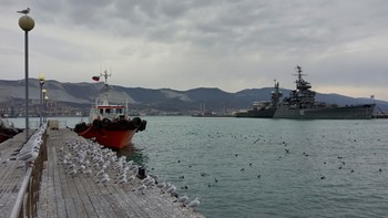 On the waterfront ... / ***