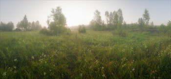Evening fog / ***