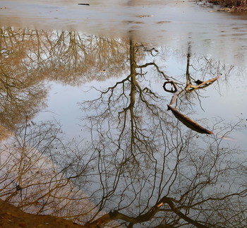 Winter Lake / ***