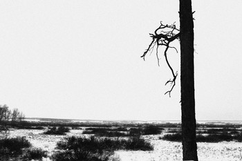 dryness / ***