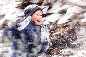 Happy New Year! / ***