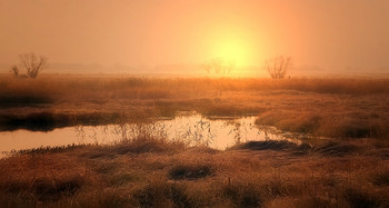 Autumn time... / ***