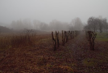 The smell of autumn / ***