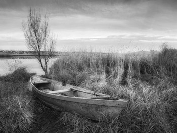 Landscape with boat / ***