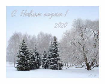 Happy New Year !!! / ***