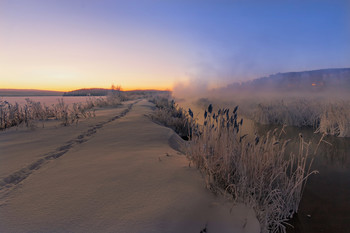 The path in the morning / ***