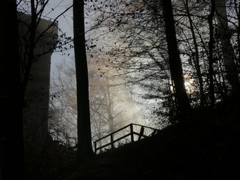 auf dem Weg zum Licht / wenn im Tal der Weser der Frühnebel liegt, wird es Zeit auf den Berg zu gehen, dort siegt grade die Sonne über den Nebel