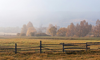 Morning fog. / ***