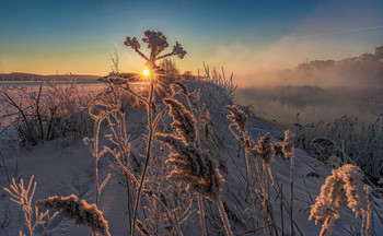 Winter dawn / ***