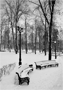 In Winter Park / ***