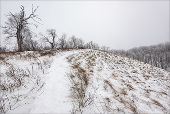 Slope / ***