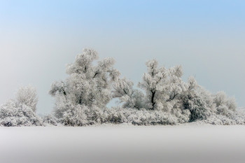 Winter / Der erste Schnee