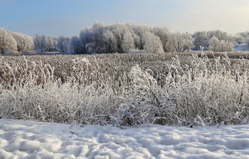 Zimushka winter / ***