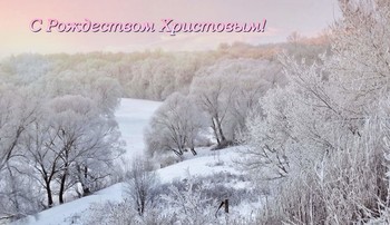 Christmas / ***