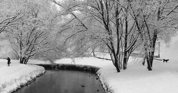 After snowfall / ***