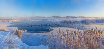 Blue morning / ***