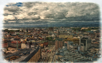 A bird&#39;s-eye / ***