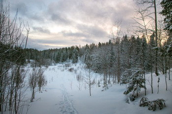 Winter landscape / ***