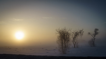 Winter fog / ***