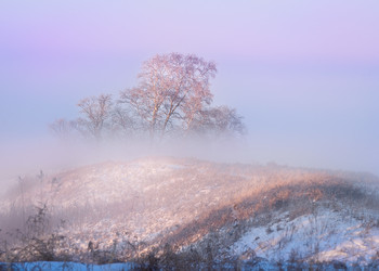 Ice Fog / In a land of wind, fog can be quite rare.