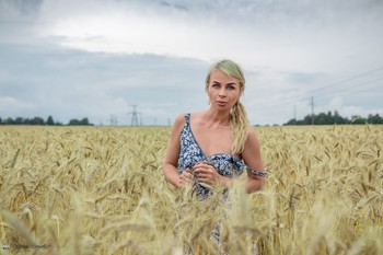 Girl in the field / ***