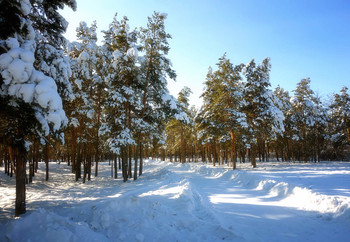 In Winter Park ... / ***