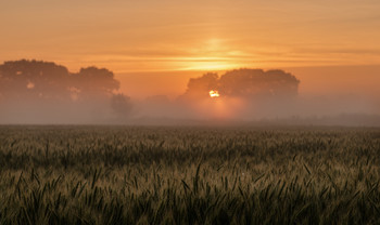 &nbsp; / 17.07.2016.