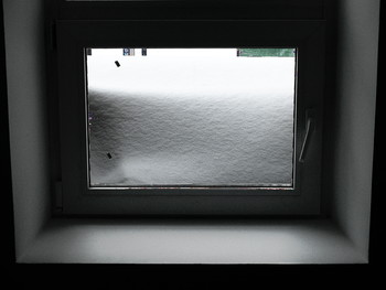 And from our window ... / 2019-02-18-12-C0-024(81)