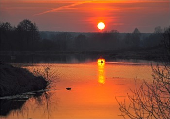 Swan Lake / ***