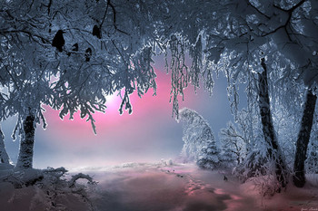 Weather recovered ... / ***